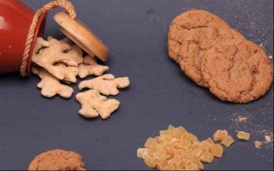 کوکی رژیمی دبل زنجبیل 500 گرم